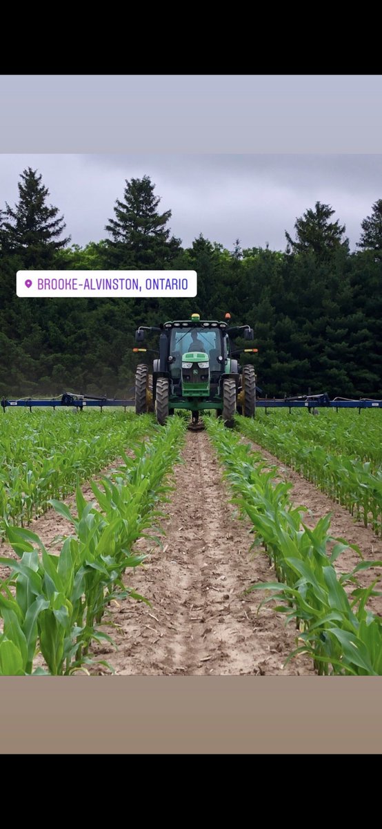 DKC 53-56 off to a good start!
<a href="/DEKALB_Canada/">DEKALB Canada</a>