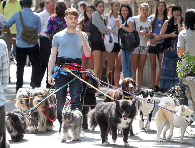 Harry_Potter_TM's tweet photo. Harry Potter dando un paseo con Sirius y sus amigos ⚡️ https://t.co/6dfl8NXoPZ