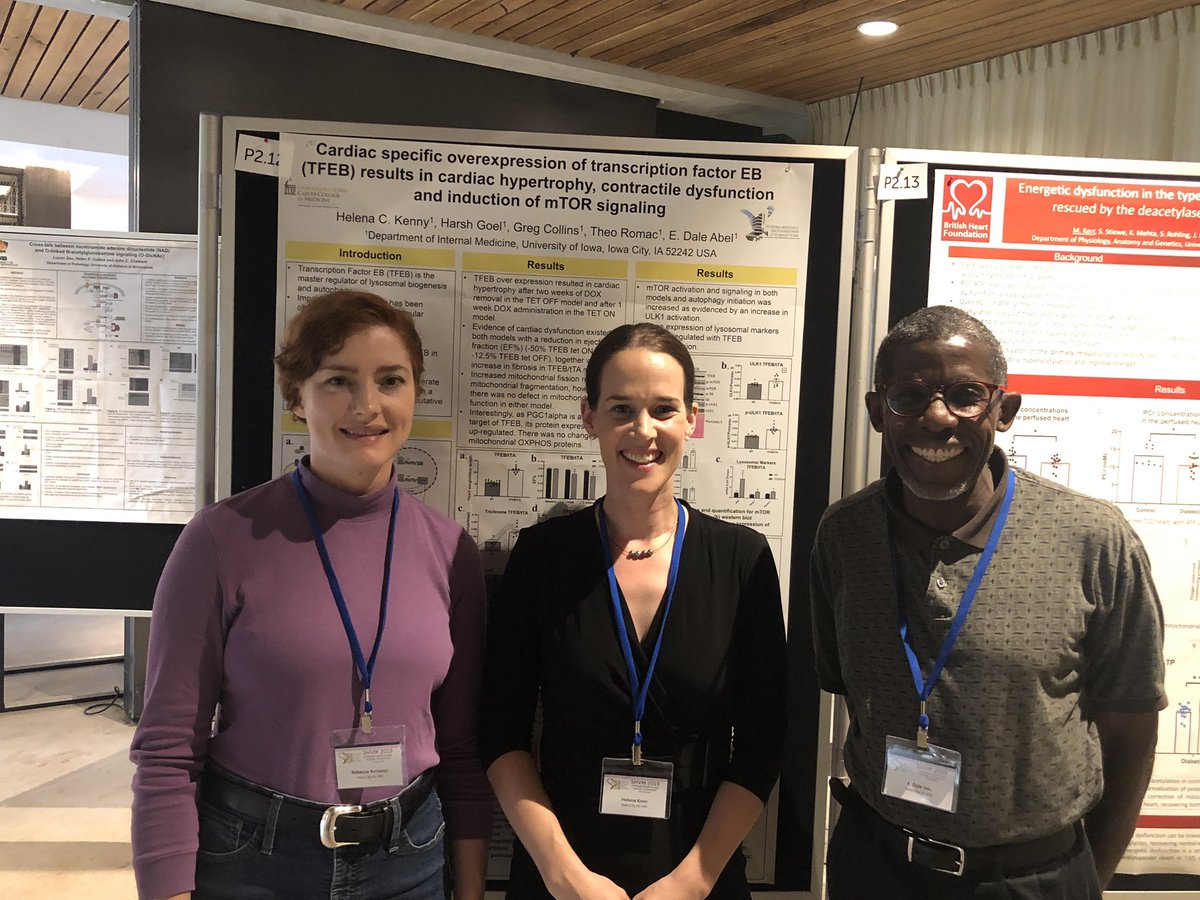 helenalongford's tweet photo. Another great day at #SHVM2019 and delighted to have the opportunity to present our work! @IntMedAbel @IntMedatIowa @InsulinHeart https://t.co/CA7FPg1CLU