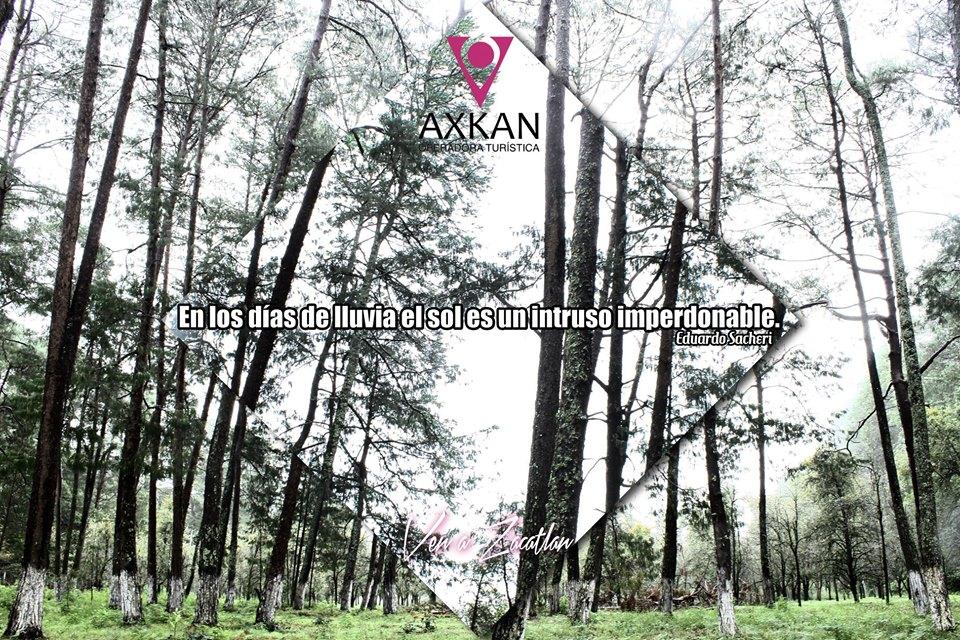 Axkan_Zacatlan's tweet photo. ☕️☕️☕️🥶🥶🥶☔️☔️☔️☔️ #Axkan #VenAZacatlán #PuebloMágico #sierranorte #Puebla #lluvia #nubes #sol #frio #cafe #viaja #disfruta #felizmartes https://t.co/cbMej5atcq