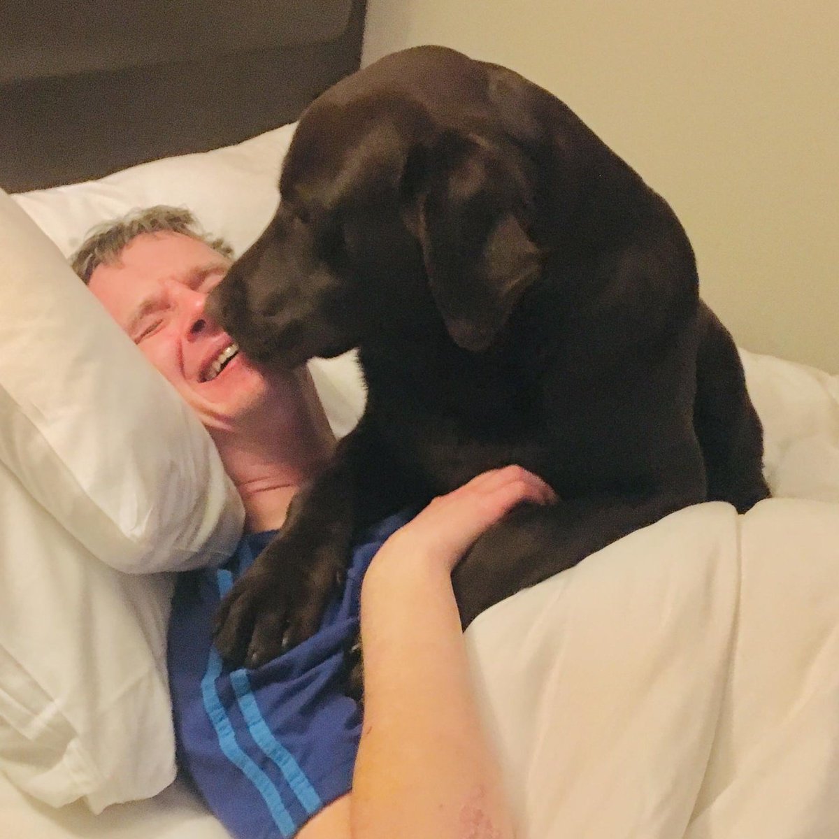 benwimbushSCORD's tweet photo. @rickygervais Happy Birthday hope you have a great love @benwimbushSCORD &amp; #OurRolo the last chocolate left in the litter Hes in training via an amazing charity @dogaid to be my #assistancedog Thanks 4 #AfterLlife such a clever way to make ppl realise grieving is natural &amp; needed https://t.co/c7C5DEwP5b