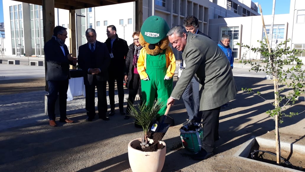 DR de <a href="/ConafCoquimbo/">CONAF Dirección Regional Coquimbo</a>, <a href="/edo_rodrigu/">Eduardo Rodríguez Ramírez</a> y director del nuevo Hospital de #Ovalle, Juan Pablo Figueroa; firman, junto al @limarigob, <a href="/IvanEspinozaB/">IVAN A. ESPINOZA B.</a>, 🤝 de cooperación para forestar con  especies nativas,  lo que será el "Rincón Nativo" al interior del nuevo Hospital.