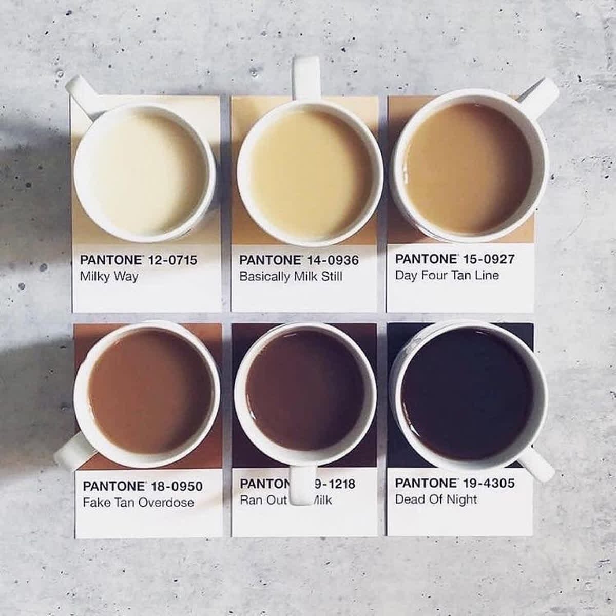 GetSmartWork's tweet image. Which one are you? (We won&apos;t judge 😉)
#repost from @ femalefoundersfair