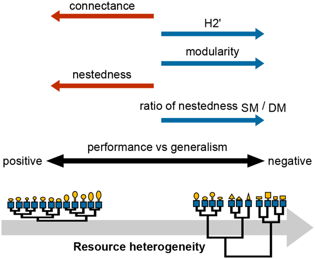ESAEcology's tweet photo. #New in @ESAEcology with #OpenData from @ZENODO_ORG
A new model explaining the origin of different #topologies in interaction #networks
#modularity #nestedness
https://t.co/EauYRsFui9 https://t.co/C1jN74b8hN