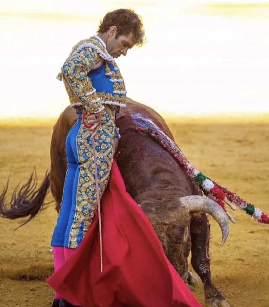 Esteban Castro R tweet media