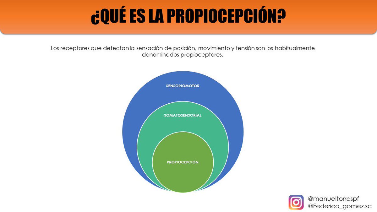 ¿Que es la propiocepción?