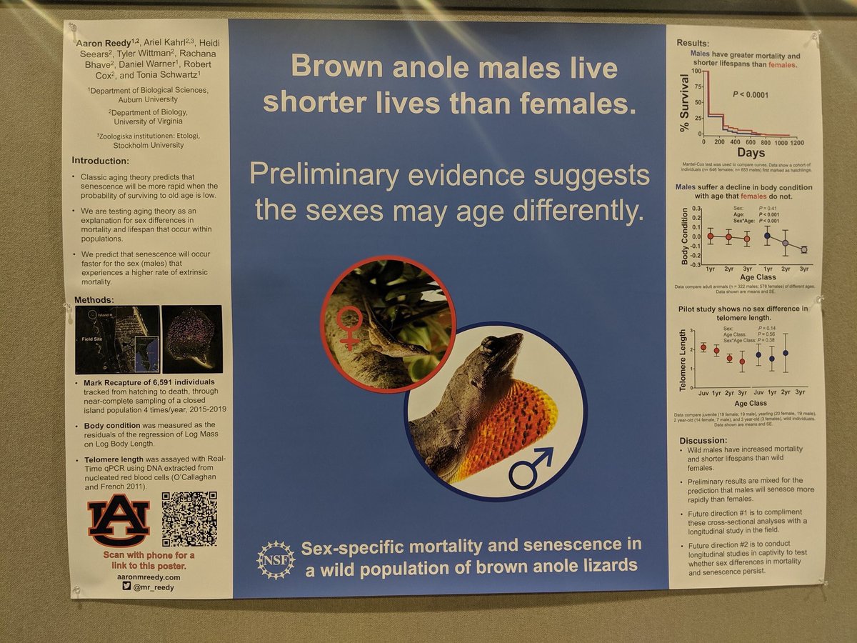 mr_reedy's tweet photo. #Evol19 I had so much fun talking about my poster last night. Happy to keep talking if I run into you at the super social tonight. https://t.co/ru4T17J05F