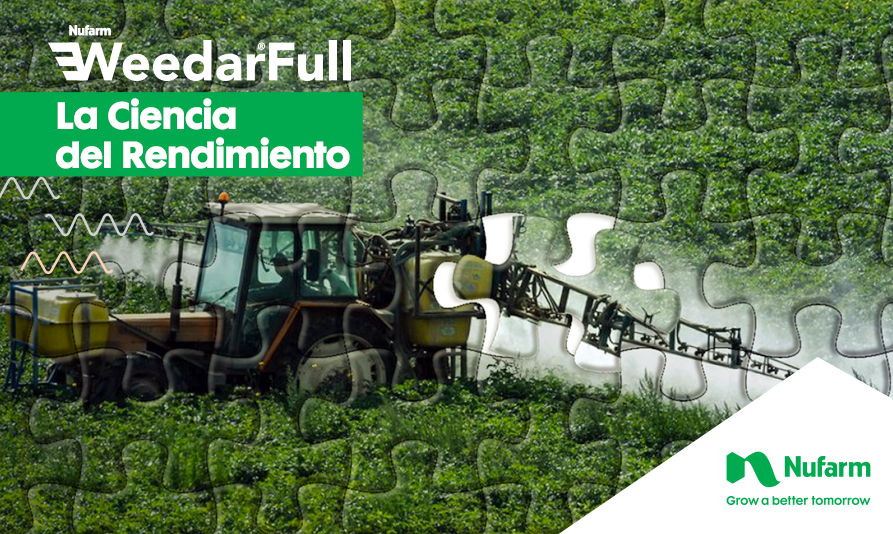 sumitomochem_ar's tweet photo. ¿Conocés #WeedarFull? Gracias a la tecnología #DualSalt, combinamos dos tipos de sales logrando la más baja volatilidad y eficiencia del mercado 🌿🍂
👉 https://t.co/LDa26LPPaE https://t.co/iZpzQPsaEp