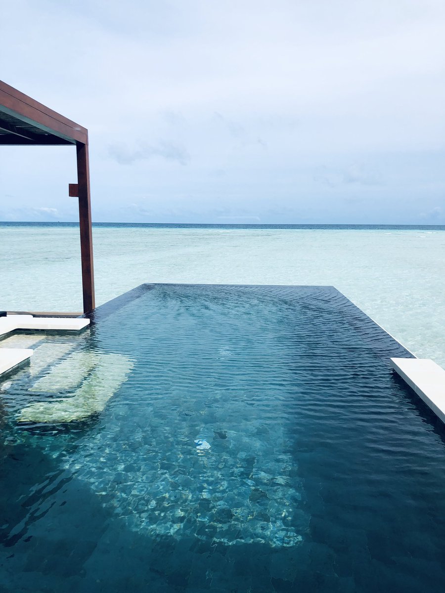 Sally_Elite's tweet photo. Island hopping in the Maldives, Four Seasons Kuda Huraa #islandlife #luxuryhotel #luxurytravel #luxurylife https://t.co/WfgnBugljZ