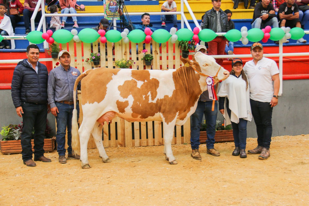 AsoSimmentalSimbrah (@asosimmental) on Twitter photo 