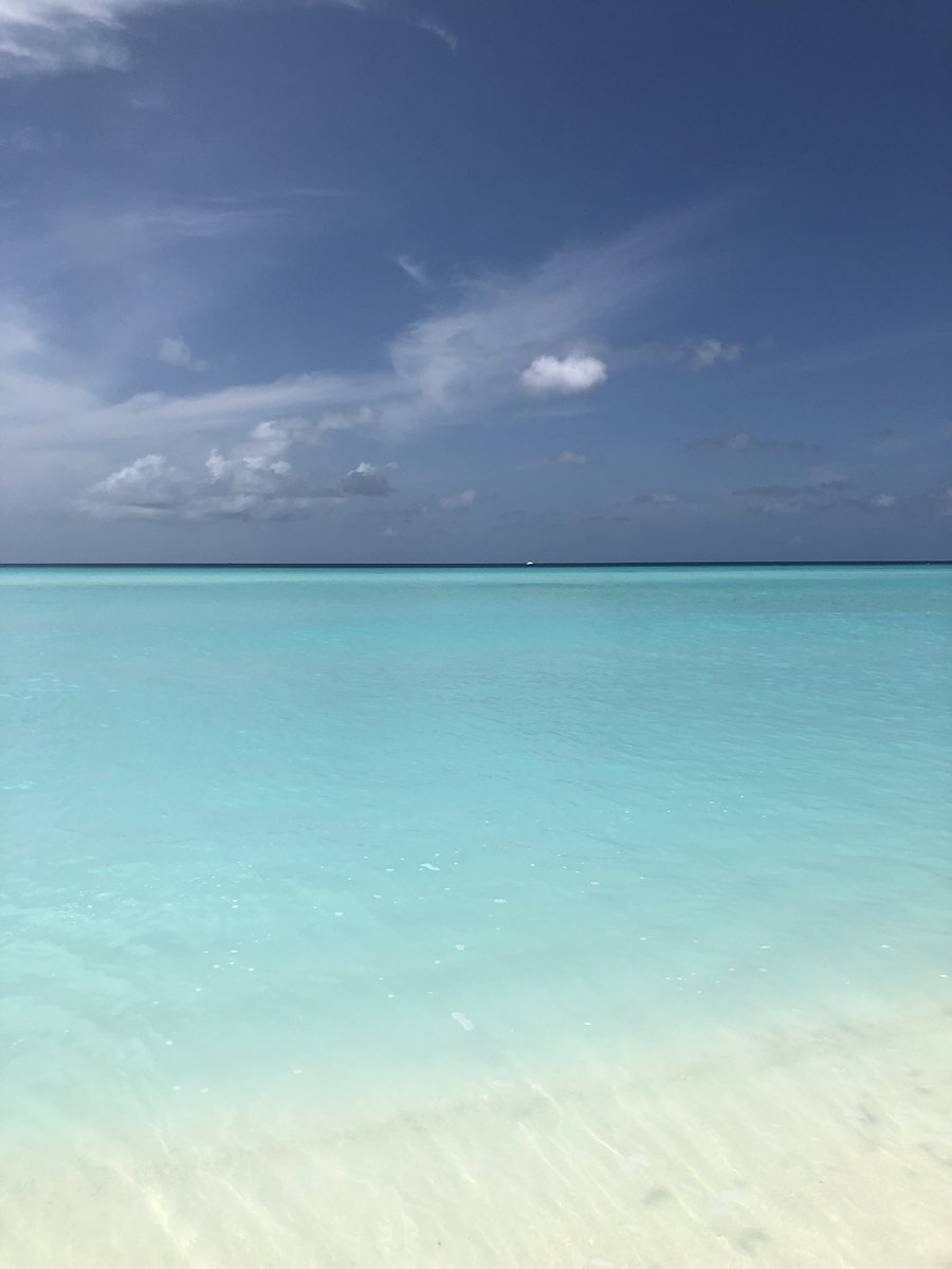 Sally_Elite's tweet photo. One and Only Reethi Rah, as amazing as ever #stunning #luxuryresort #luxurytravel #IslandLiving https://t.co/Ny8FhBz3cN