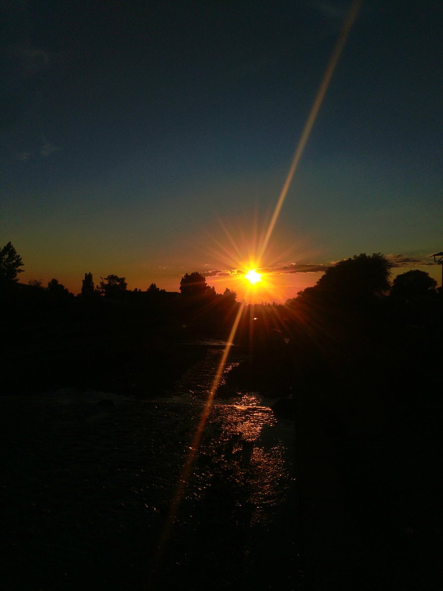 Мишка (@electricaev) on Twitter photo 