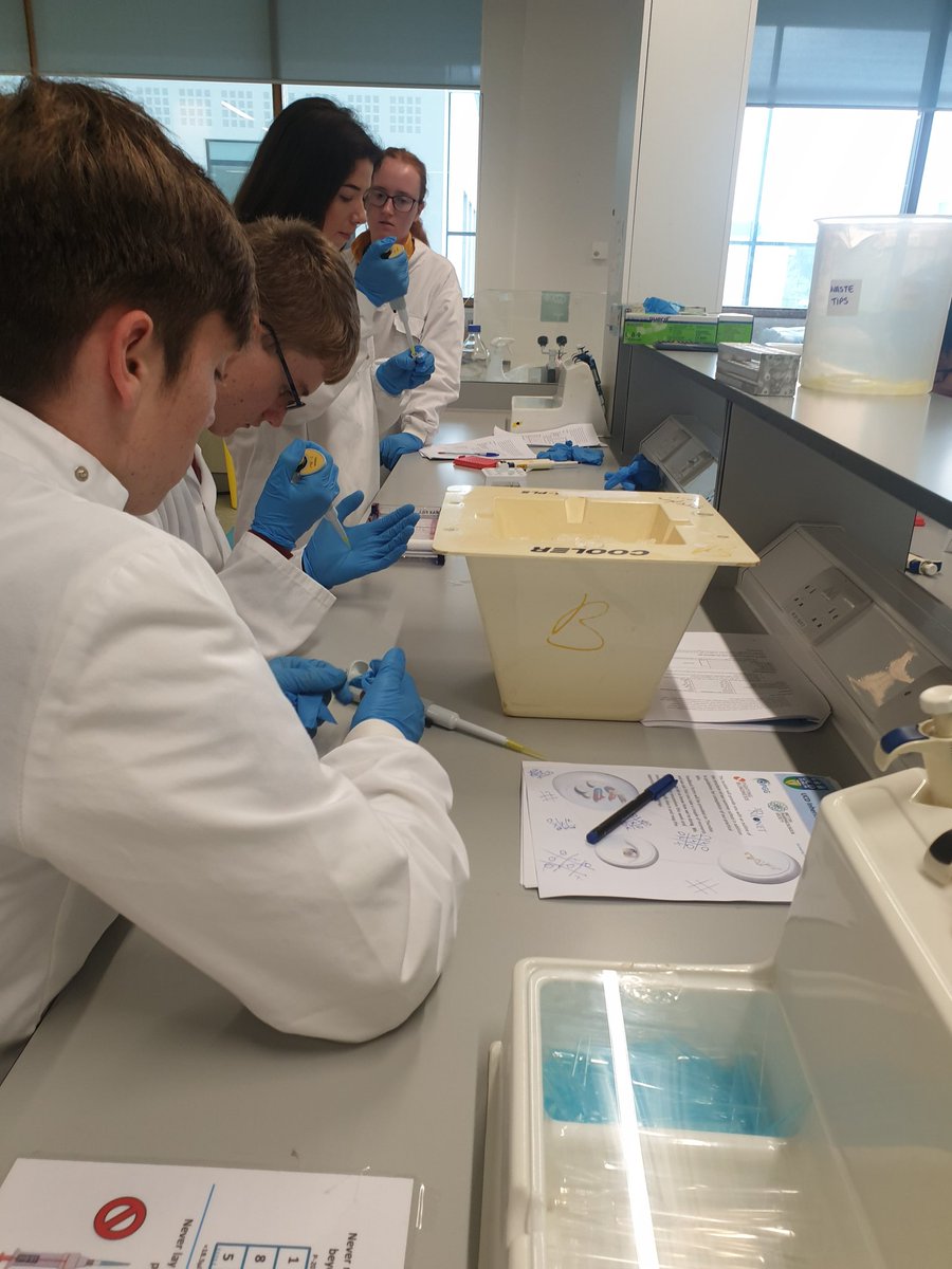 UCD-Science-IBSS tweet media