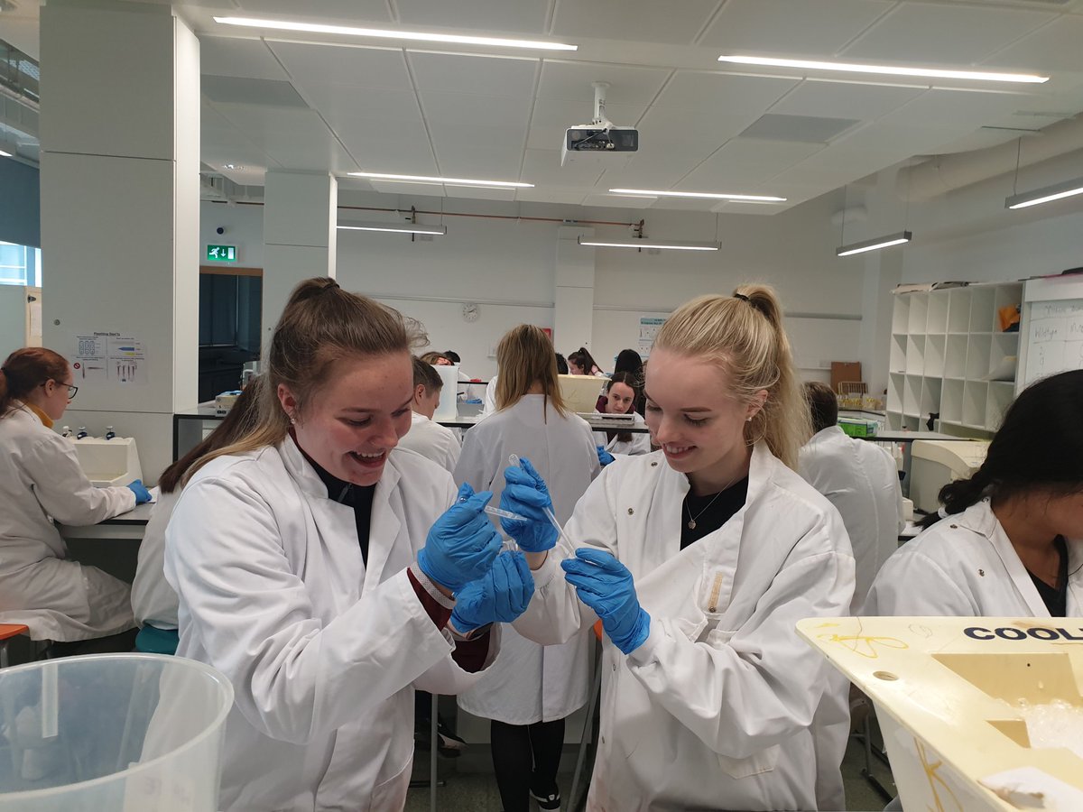 We are busy extracting and amplifying DNA in <a href="/ucdscience/">UCD Science</a> labs this afternoon! 🧬

<a href="/fight_blindness/">Fighting Blindness</a> <a href="/3dneonet/">3DNEONET Consortium</a> <a href="/BreandanKennedy/">Breandán Kennedy UCD</a> <a href="/BritPharmSoc/">British Pharmacological Society</a> <a href="/OPGG_UCD/">Ocular Pharmacology</a>