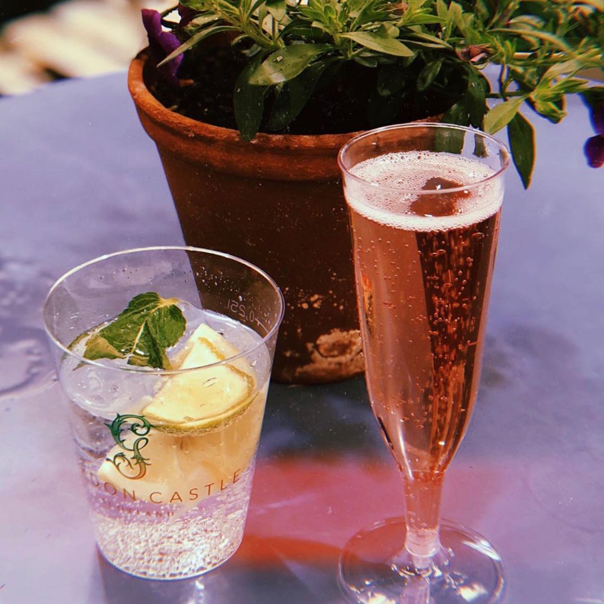GordonCastleGin's tweet photo. Massive thank you to Heather Payne for the lovely photos from our gin and Prosecco bar and the Royal Highland Show! ❤️ Tag us in your photos enjoying a Gordon Castle Gin with hashtags #gordoncastlegin #gcgin https://t.co/dfmIYsBerM