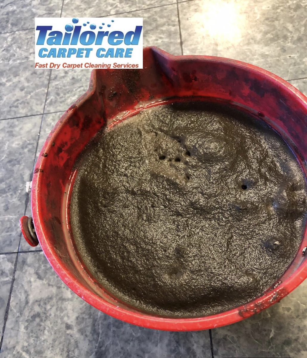 Tailored Carpet Care tweet media
