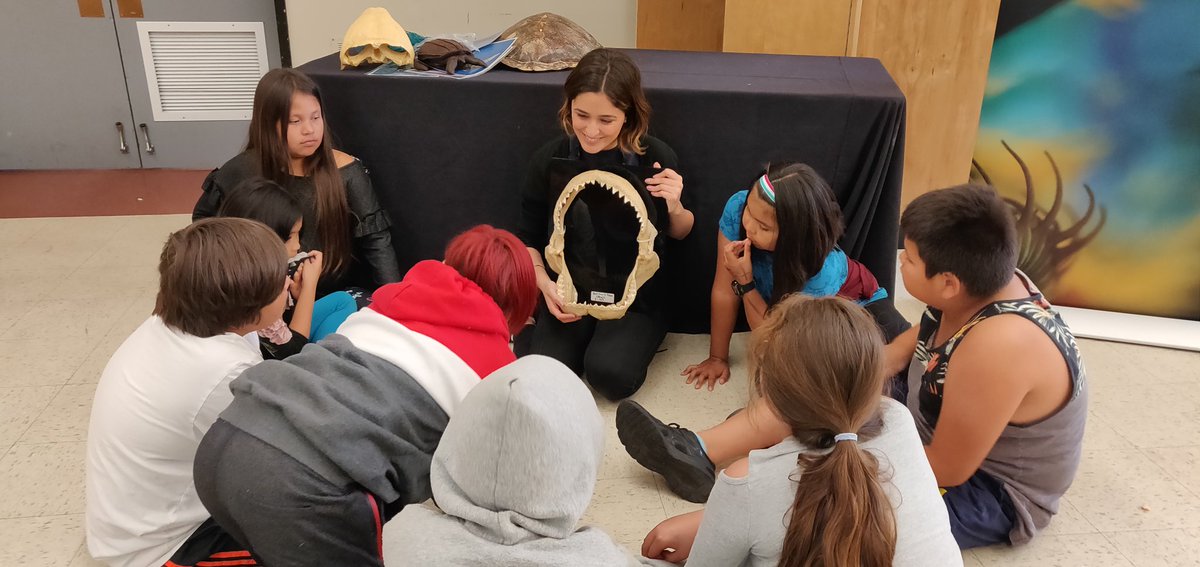 CaitlinChaddock's tweet photo. We started our last week of school with Harry Potter day! Sorting hat ceremony, wand making, potions, care of magical creatures (van aquarium), and Quidditch were enjoyed by all 🧙 Thx @DMarining for lending me all of the decorations! https://t.co/x8kzZl6HZ6