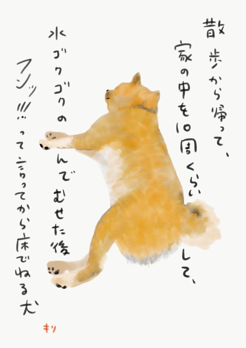 iPad Proを遅ればせながら手に入れました。
絵を描く練習に、犬が付き合ってくれた。
いつもありがとう犬よ 