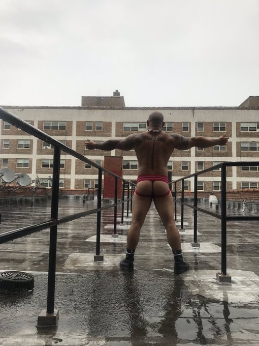 I didn't wanna let the rain stop me from getting some fresh air #pup #butt https://t.co/ebInQieMcD<a href="/tag/butt"class="tags"><span>#butt</span></a><a href="/tag/pup"class="tags"><span>#pup</span></a>