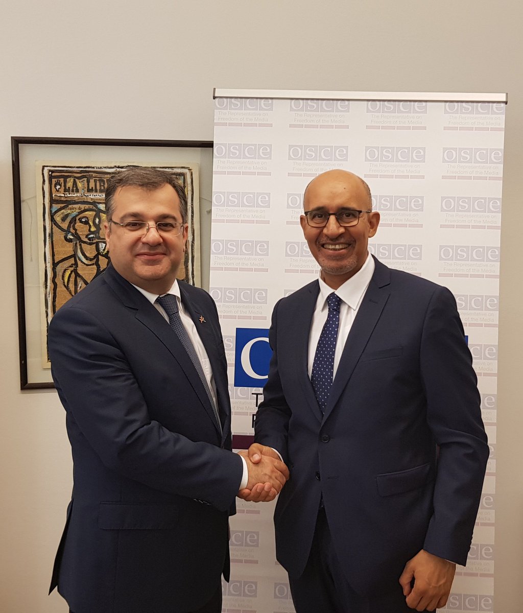 OSCE_RFoM's tweet photo. Good meeting today in Vienna with Deputy Foreign Minister of Armenia, Artak Apitonyan, exchanged views on media freedom &amp; pluralism, economic sustainability &amp; media literacy @MFAofArmenia https://t.co/tnqiK4Wzpq