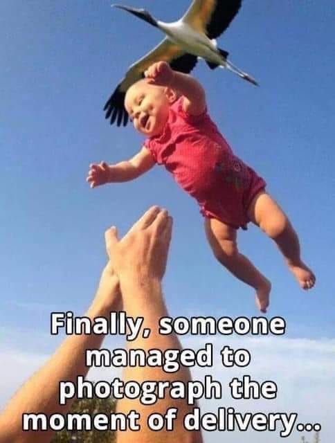 BryanMatt's tweet image. Priceless!