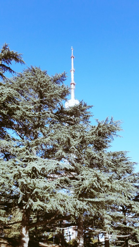 AradBenkoe's tweet photo. And these are my favourite places in #Georgia😎
#spendsummeringeorgia 
#VisitGeorgia 
#WorldWelcomeToGeorgia https://t.co/H6YtTibItV