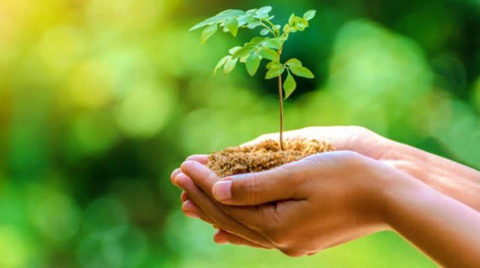 HIT " RT " If You Want Everyone To Plant One Tree For Every Month ...

#PlantTreesForTNWelfare