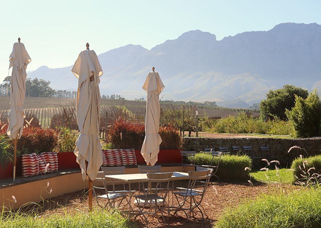 Moody Simonsberg watching over our terrace tables🍷🇫🇷 #thevinebistro #glenellyestate  #modernbistrocooking #stellenboschlife #stellenboschwineroute #explorestellenbosch #visitstellenbosch #southafrica
📷 @shotbyzahn bit.ly/31StHZ5