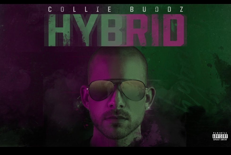 HFOTM's tweet photo. 💿 Callaloo
🎤 @CollieBuddz 
🚨 Position 10
🔛🔝 June 2019
🔥 https://t.co/zH85pa34PM 
🌐 Switzerland / EUROPE 
#colliebuddz https://t.co/zN7ru2X6FZ