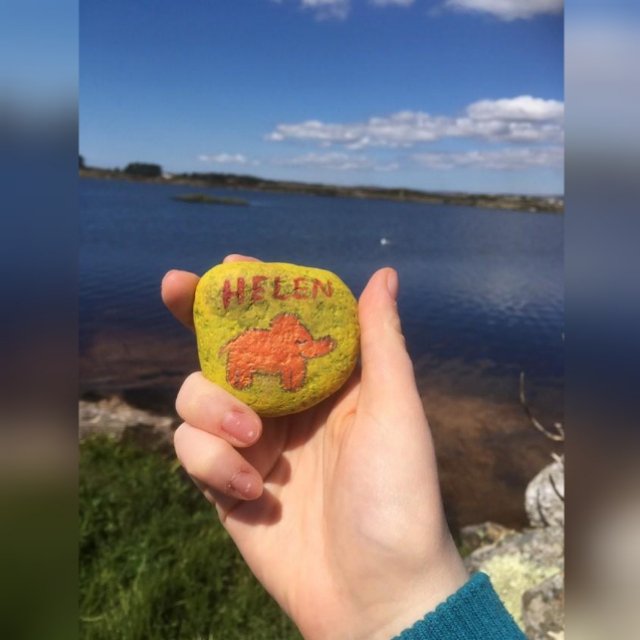 HelensRocks's tweet photo. This rock was placed in Tobar Naomh Anna, Tรญr an Fhia, Galway, Ireland by Tara Nรญ Mhรกille ๐ฎ๐ช
#HelensRocks #Travel #Elephant #InHerMemory #Cancer #Mary #Lake #Galway #Ireland #Art #PaintedRock https://t.co/Q7msHumGhA