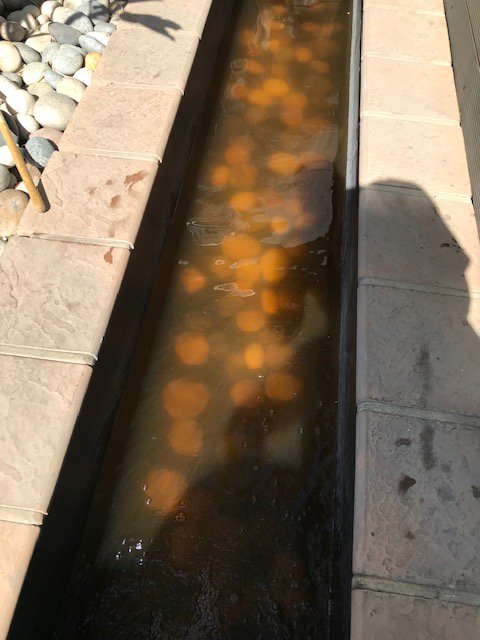 FishlabNA's tweet image. Before and After pictures of our Pond service at a client