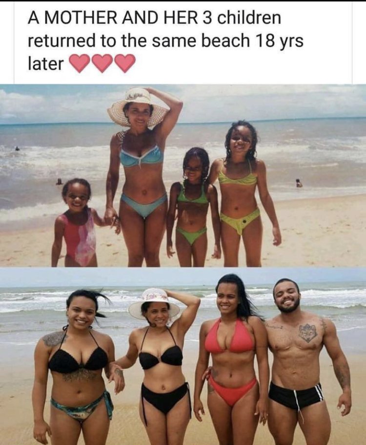 WholesomeMeme's tweet image. 