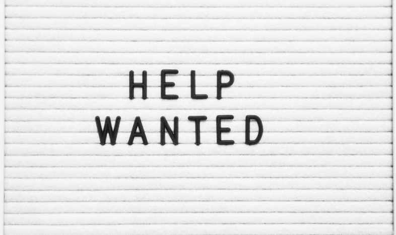 Susan Lundine tweet media