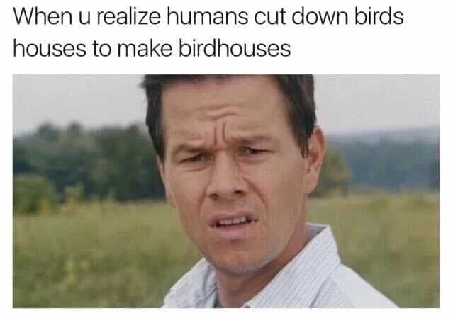 #TuesdayThoughts