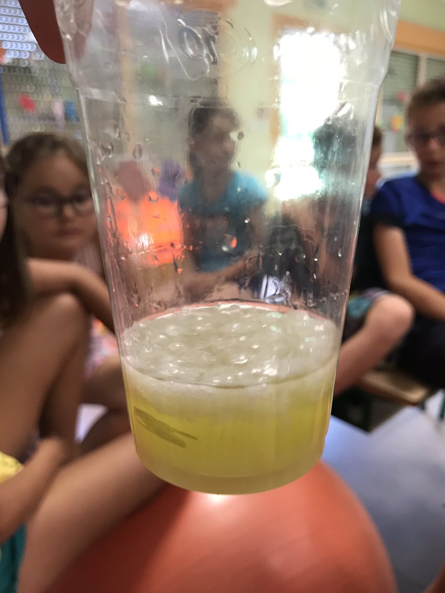 CFranchevelle's tweet photo. Mesure de l’acidité, recherche de sucre et de graisse, extraction d’ADN 🧬... vive les sciences 😍@savantures https://t.co/lp9HeeWeJN