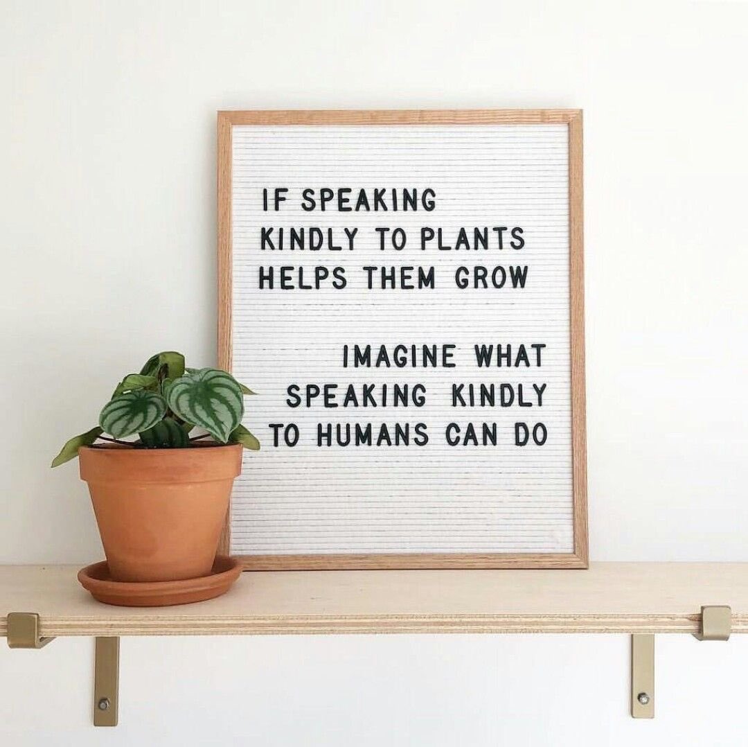 corgisandcoffee's tweet photo. Let’s all be kind and help each other grow! 🌱 #HuskiesChooseKindness  #hcpspln #SummerKindnessBingo @happytobeahusky @darynpolanco @tamaraletter https://t.co/b488tmNC76