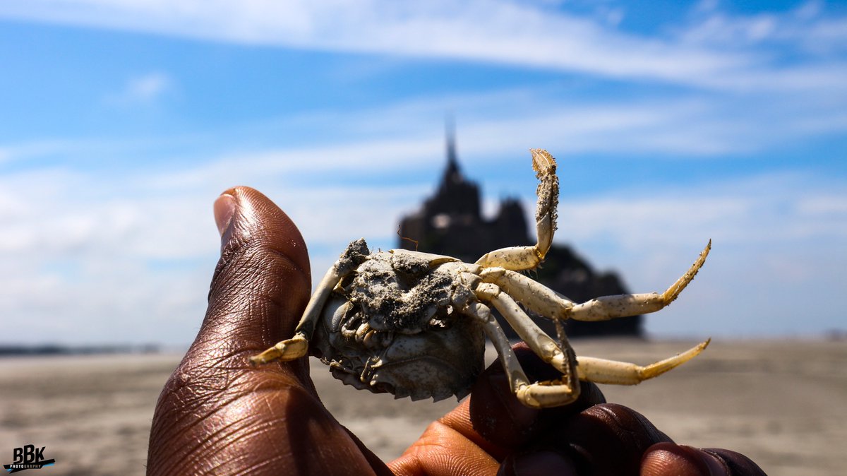 Babakwanza's tweet photo. #InstantsdeVie #MontSaintMichel #France 25/06/2019 📸#BabasBbk https://t.co/LJiu5ctpS2