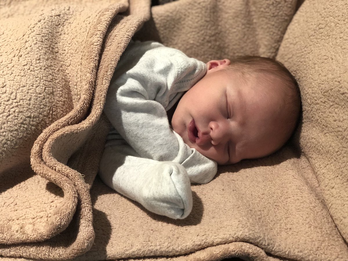 baaaylie's tweet photo. He really is perfect 😍 https://t.co/8ZkW91lyOv