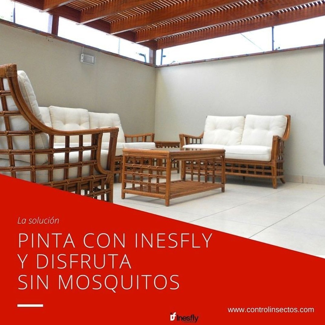 InesflyEc's tweet photo. Ideal para interiores y exteriores, controla y elimina cucarachas, mosquitos, moscas, grillos, mariposas, alacranes, chinches, hormigas, pulgas, garrapatas, ácaros; toda clase de insecto volador y rastrero. https://t.co/MSFyjlpQGO