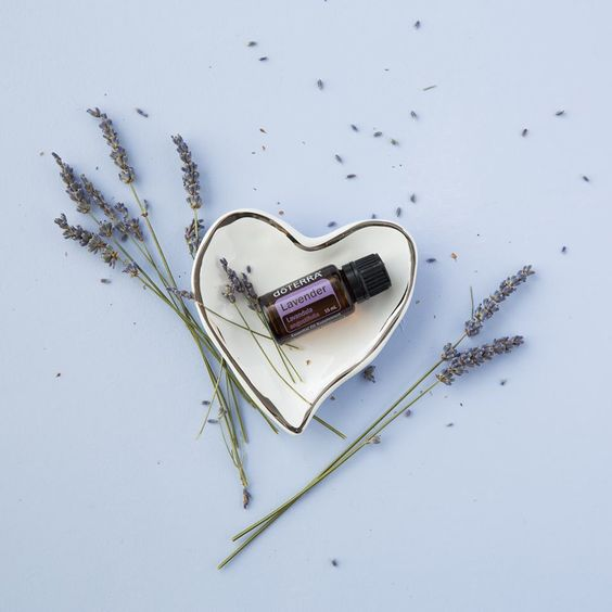 OilsByStephanie's tweet photo. Did you know that Lavender oil supports the heart and cardiovascular system?*

Dilute one drop in 4 fl. oz. of liquid or add to a veggie capsule to promote a healthy heart.

*These statements have not been evaluated by the Food and Drug Administration. T… https://t.co/dxEjcUIIr0 https://t.co/oSMpXIUWgD