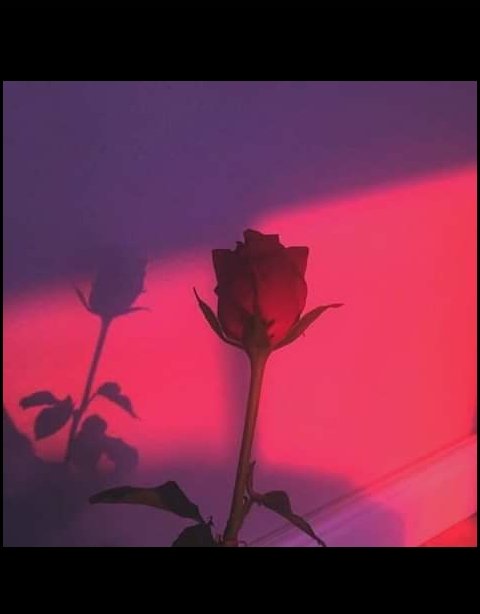 RandSigned's tweet image. 