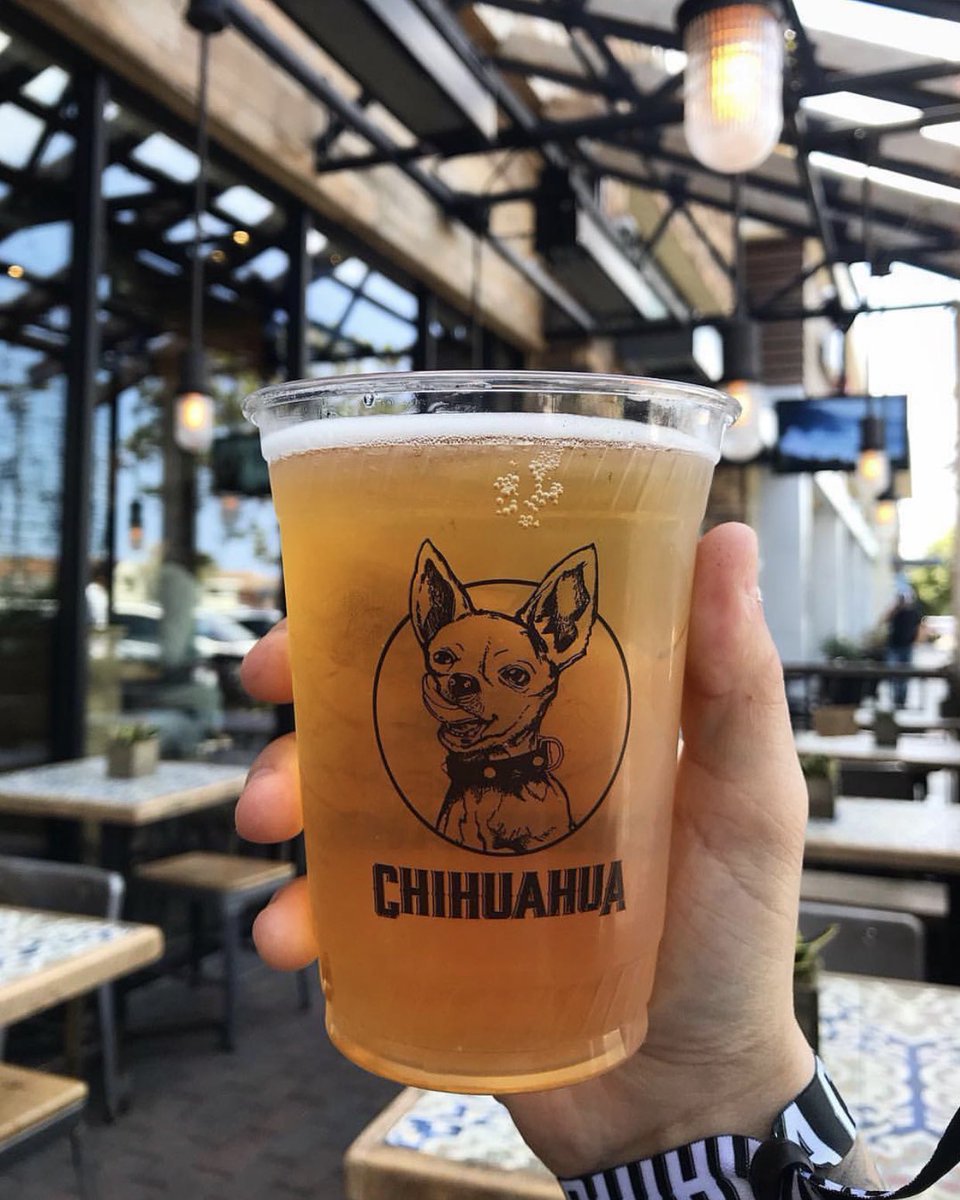 OCMagazines's tweet image. Taco Tuesday’s are better with chihuahuas! @chihuahuacerveza is a spicy hot spot in Newport Beach that offers tall boy Tuesdays, 2 tall cans for $6, along with a crazy good menu! 🧡 Once there, guest can scan their wrist bands &amp;amp; serve themselves their favorite beers on tap too!