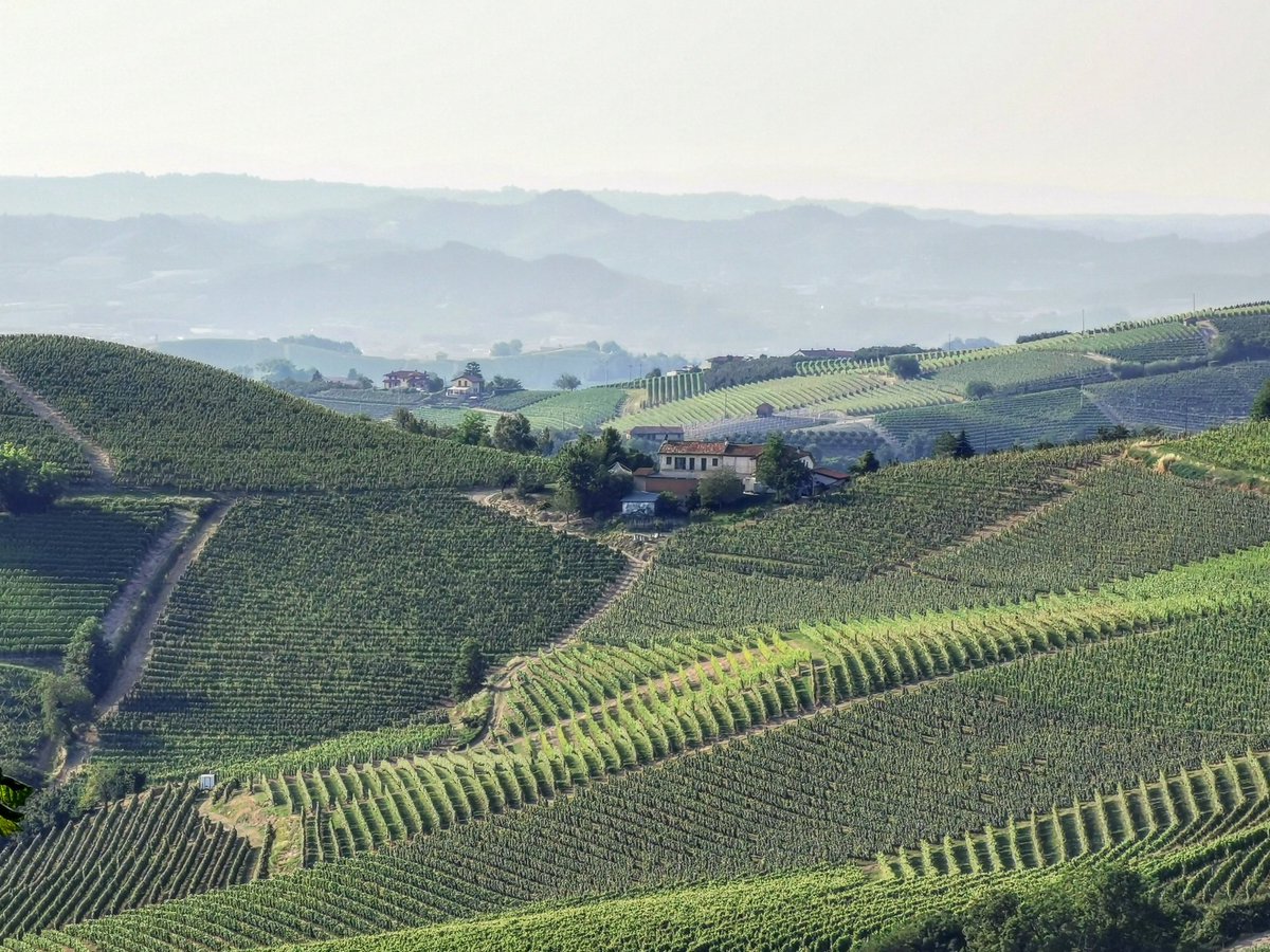 FratelliAimasso's tweet photo. Aimasso's cellar #instalanghetti #ig_cuneo #ig_piemonte #loves_united_cuneo #volgocuneo #volgopiemonte #wine #instawine #wine #instawine #nofilters #langhe #unesco #summer #cool #tabui https://t.co/NZbu6wM2iH