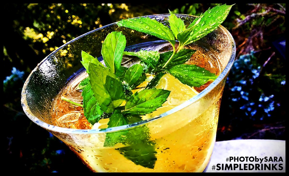 CITYGUIDEMUNICH's tweet photo. #SIMPLEDRINKS #PHOTObySARA
#SUMMERDRINKS #EVENINGMOOD
#GARDENKITCHEN #MINT #HERBS
#HERBGARDEN https://t.co/godsfo6Pg6