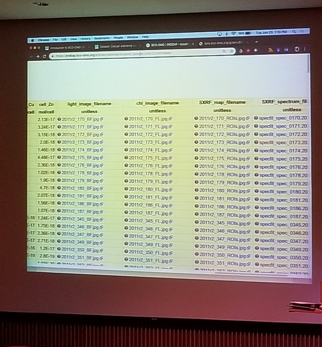 BCODMO's tweet image. Taking a look at data from @DrSingleCell. Going right from tabular data to the associated images (and quickly!) 

#OCB2019 #erddap #oceandata