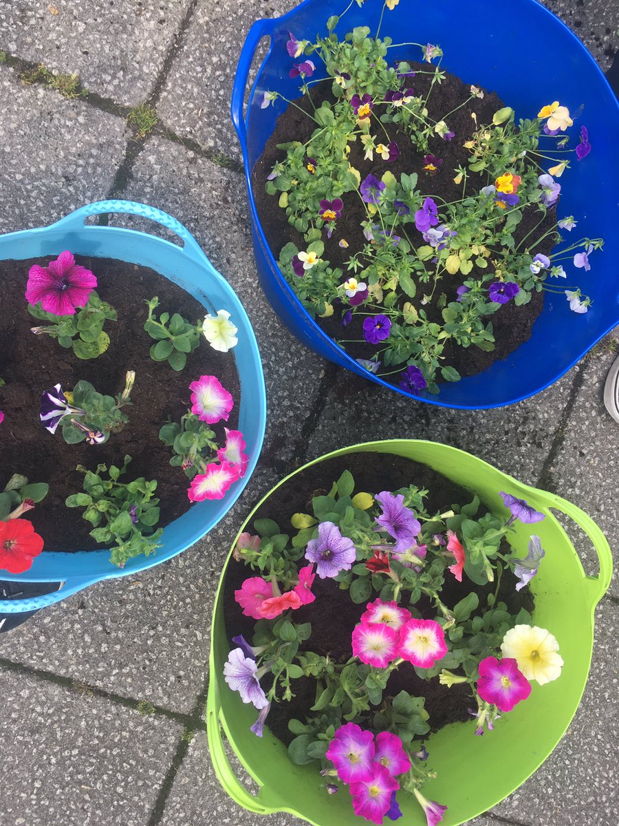 Regency OT tweet media