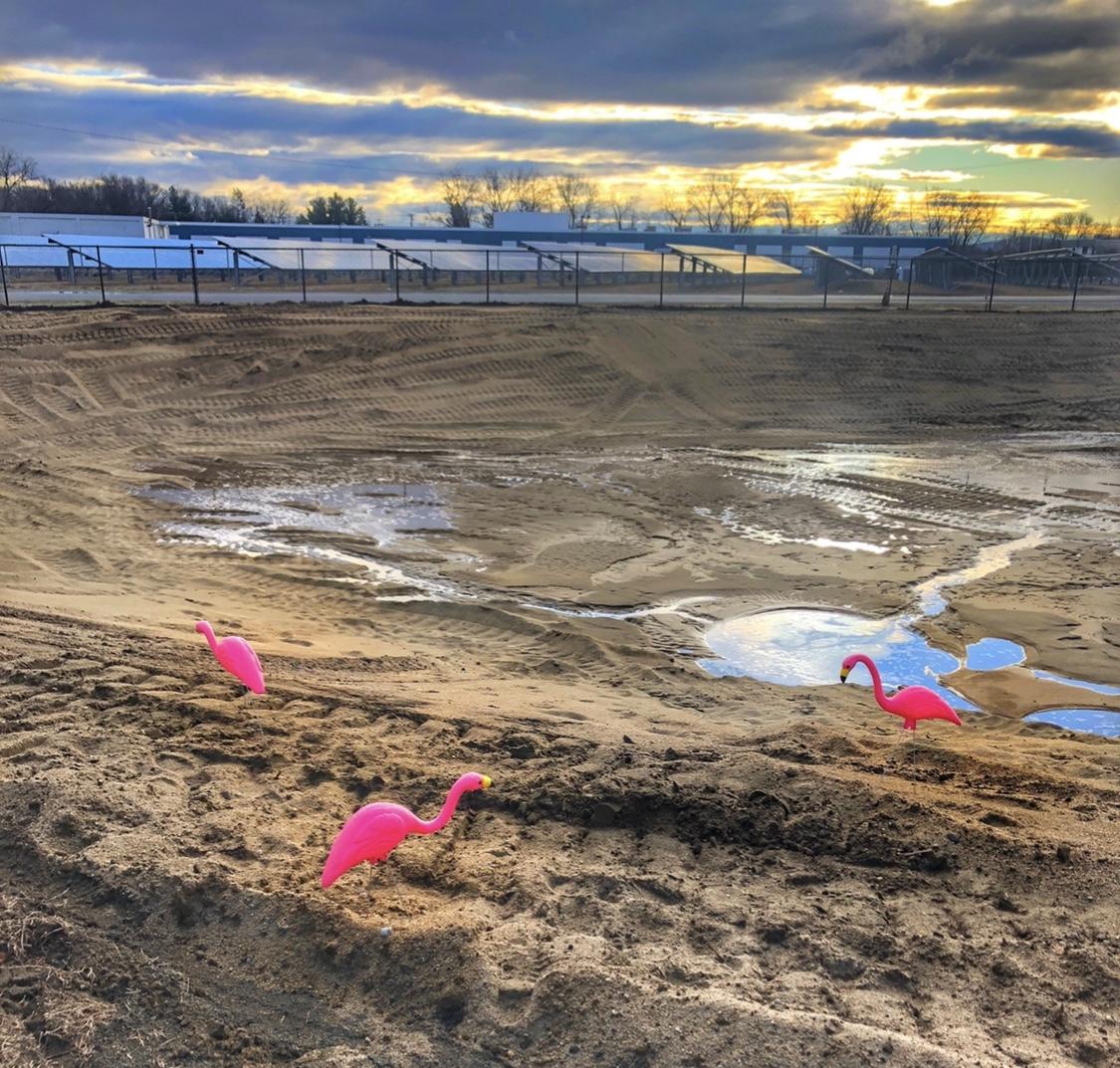 cefloyd's tweet photo. What the flock happened to our job site!?
We showed up this morning to our Big Y site to find a bunch of flamingos all over the lot! They must have not liked the beach conditions today.
#CEFAMILY
#CEFLOYDCONSTRUCTION
#FLAMINGOS
#MAJOBSITE
#MACONSTRUCTION
#MAARCHITECTURE https://t.co/oMxSVmHE9l