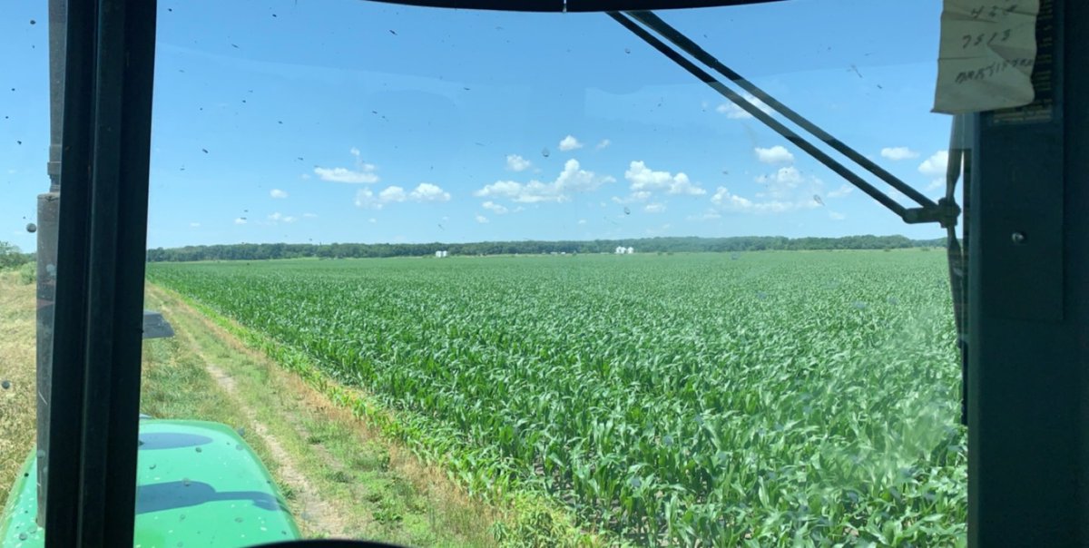 shaemlear's tweet photo. Doesn’t look too bad for how this spring turned out https://t.co/YDyiMmYnRw