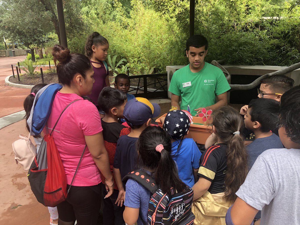 SISD Multilingual tweet media