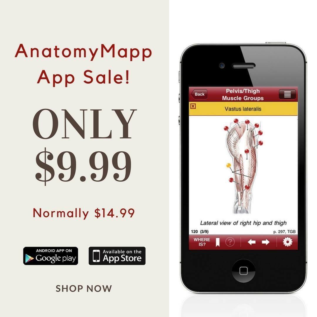 Hey hey, anatomy geeks!!! It’s that time again! AnatomyMapp is on sale for $9.99 USD until 6/30/19. Tell your friends, tell your students, tell your peers! #anatomymapp #anatomygeeks #NATA